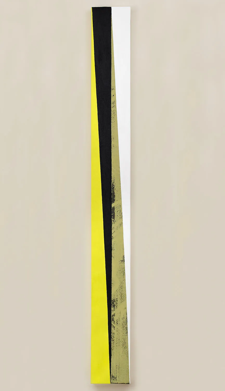 GEO – metry no. 11 / from the Residential Sector series / 260 x 27 cm / mixed media, canvas / 2013